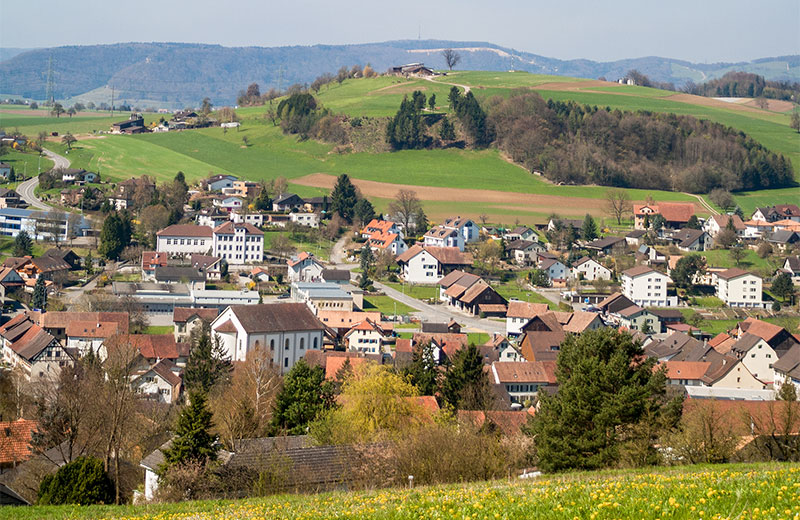 Endingen g