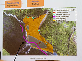 Eleonora Pedrini-Pedroli